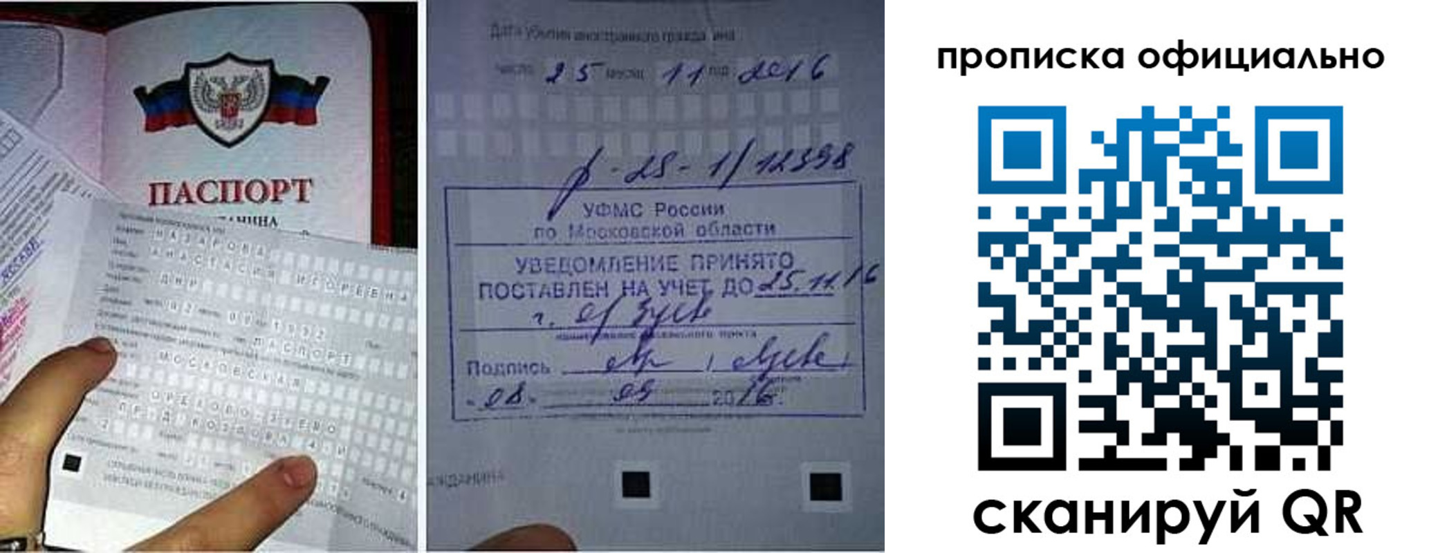 прописка паспорт в Сельцо